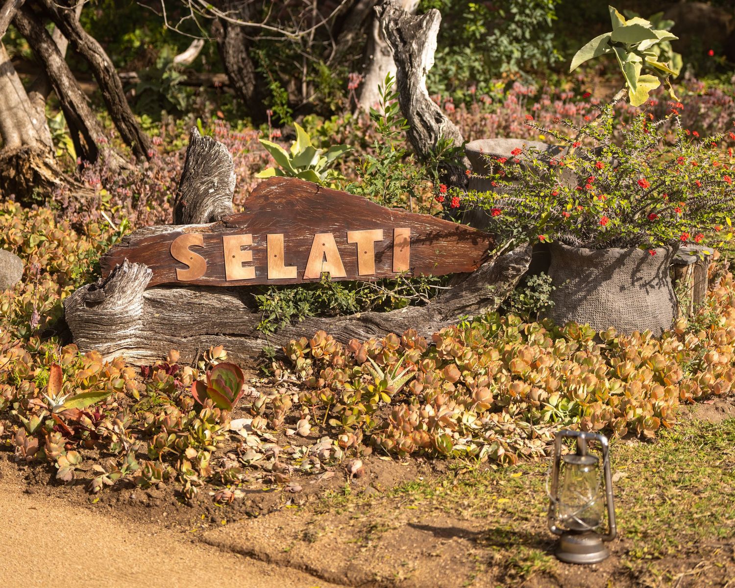 Scenic forest path with autumn foliage and wooden signage in natural setting.