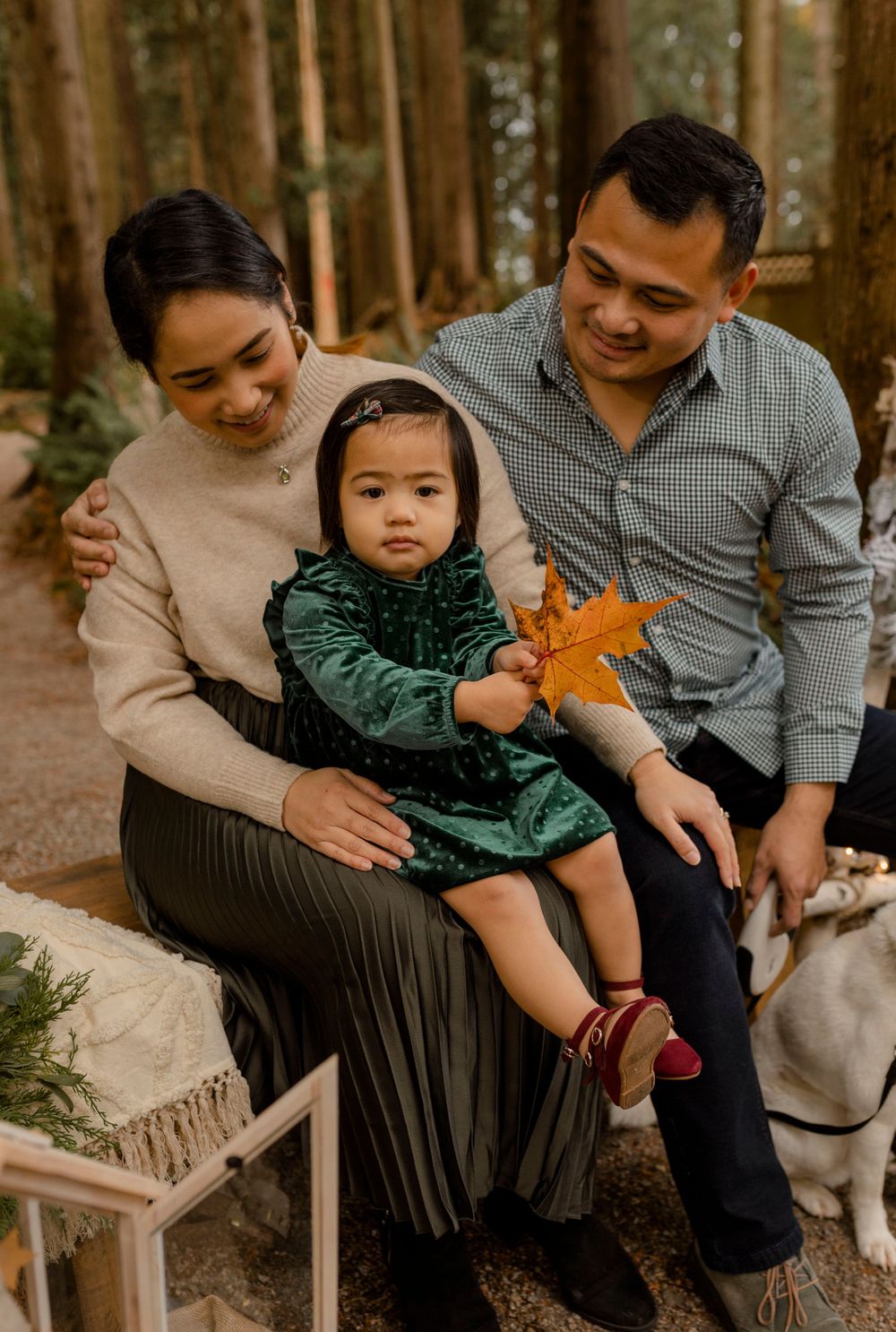 Family session at Campbell Valley Park
Fall mini session