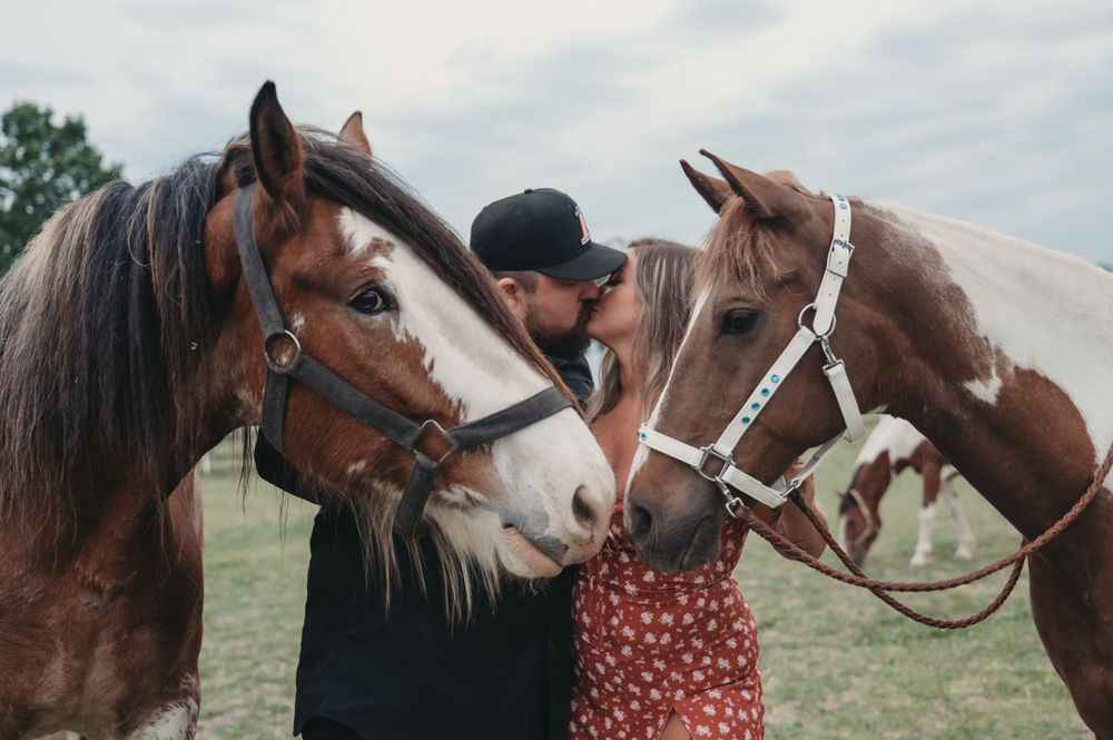 Three horses nuzzle together while wearing bridles in an outdoor setting.
