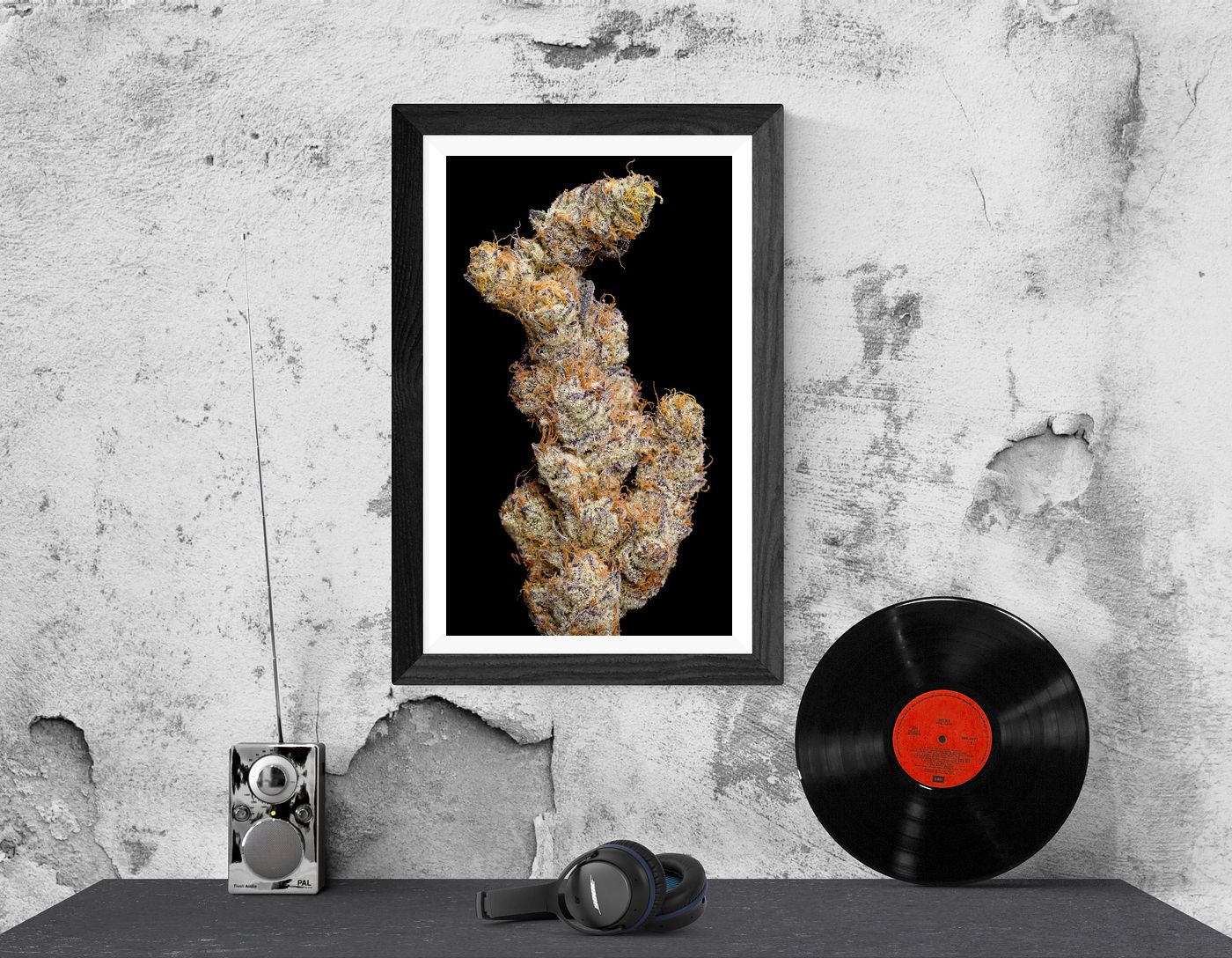 CannaPrints.ca - Fine Art Cannabis Prints. Elevating Modern Living Spaces
