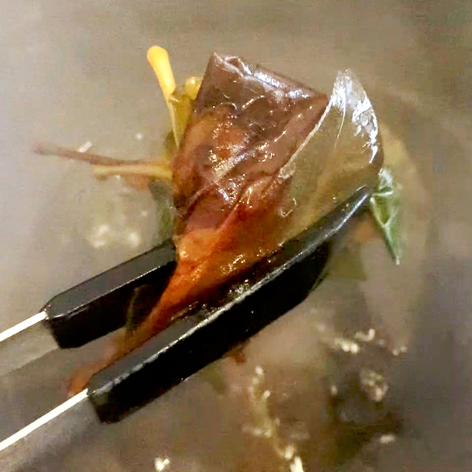 leaf skeleton boil