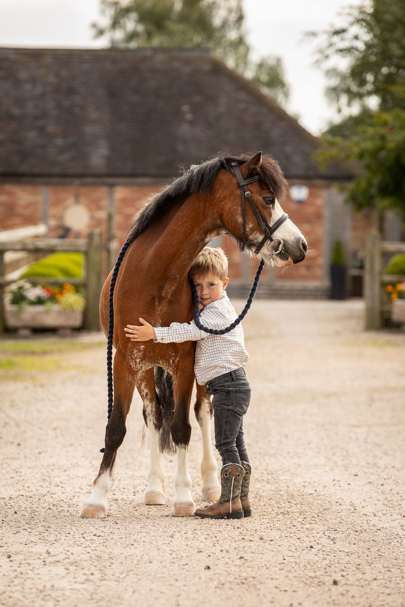 A touching moment between a young child and a bay horse with white markings.