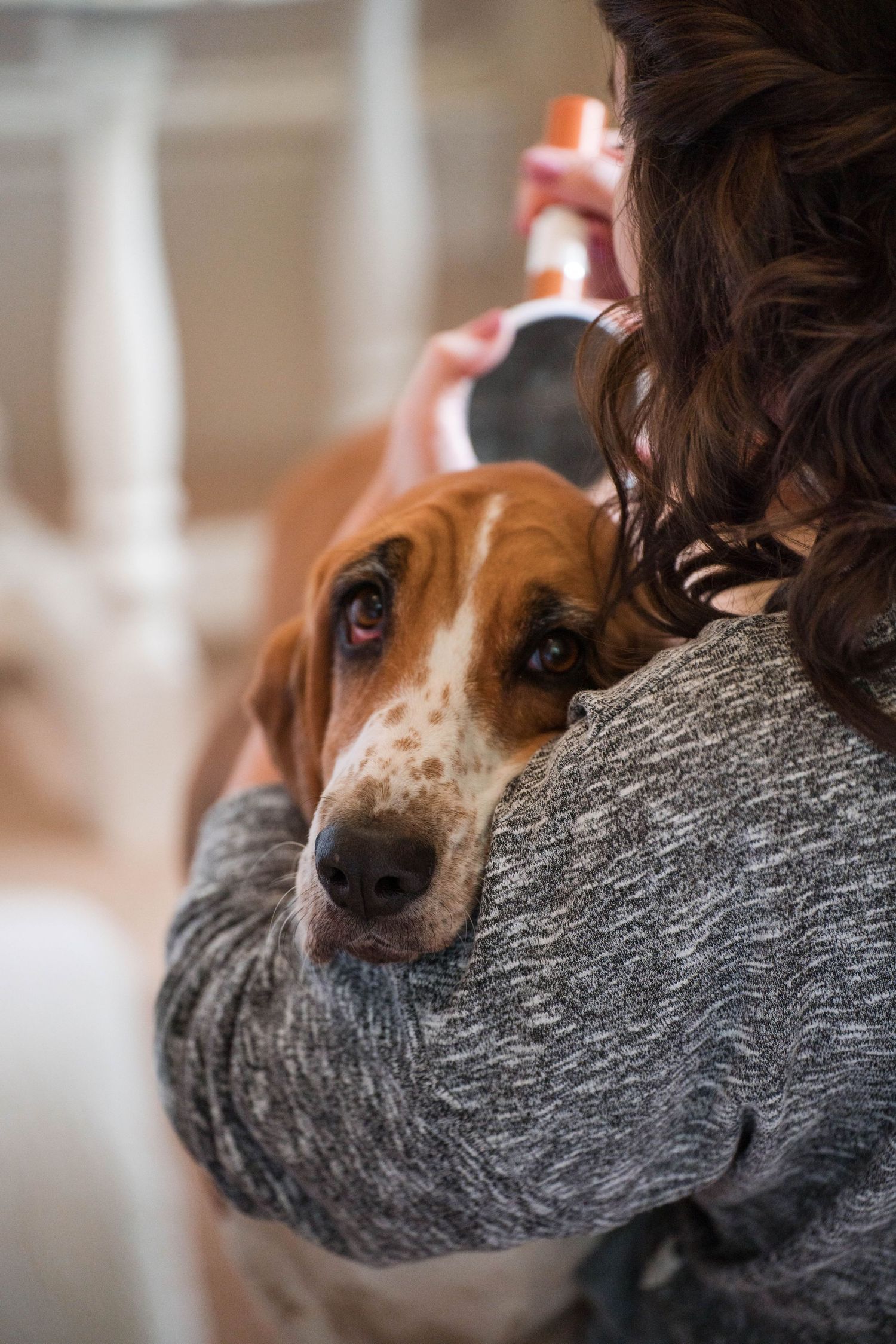 Zara Davis Photography Dogs at Weddings Cathedral Castle Abbey Cotswolds Gloucestershire Cheltenham