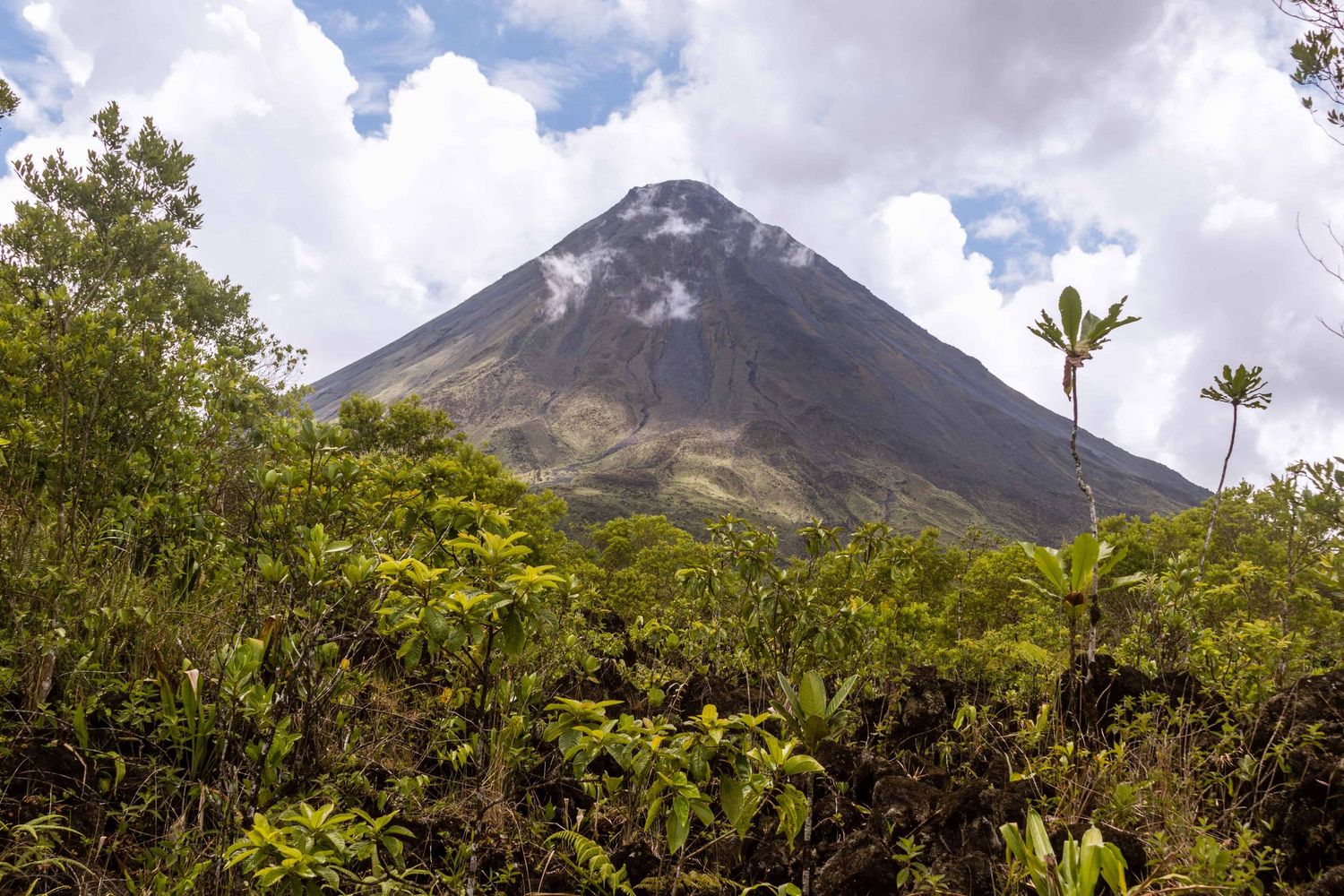 Costa Rica destination elopement photographer