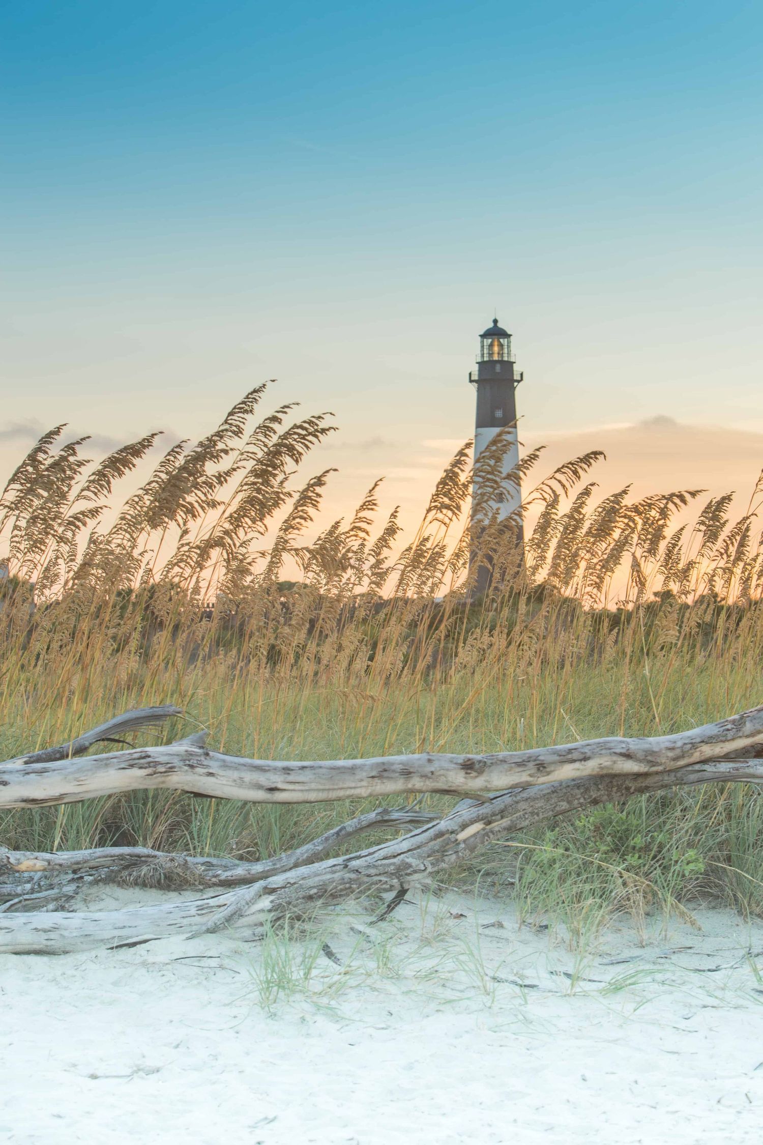 Georgia destination elopement photographer