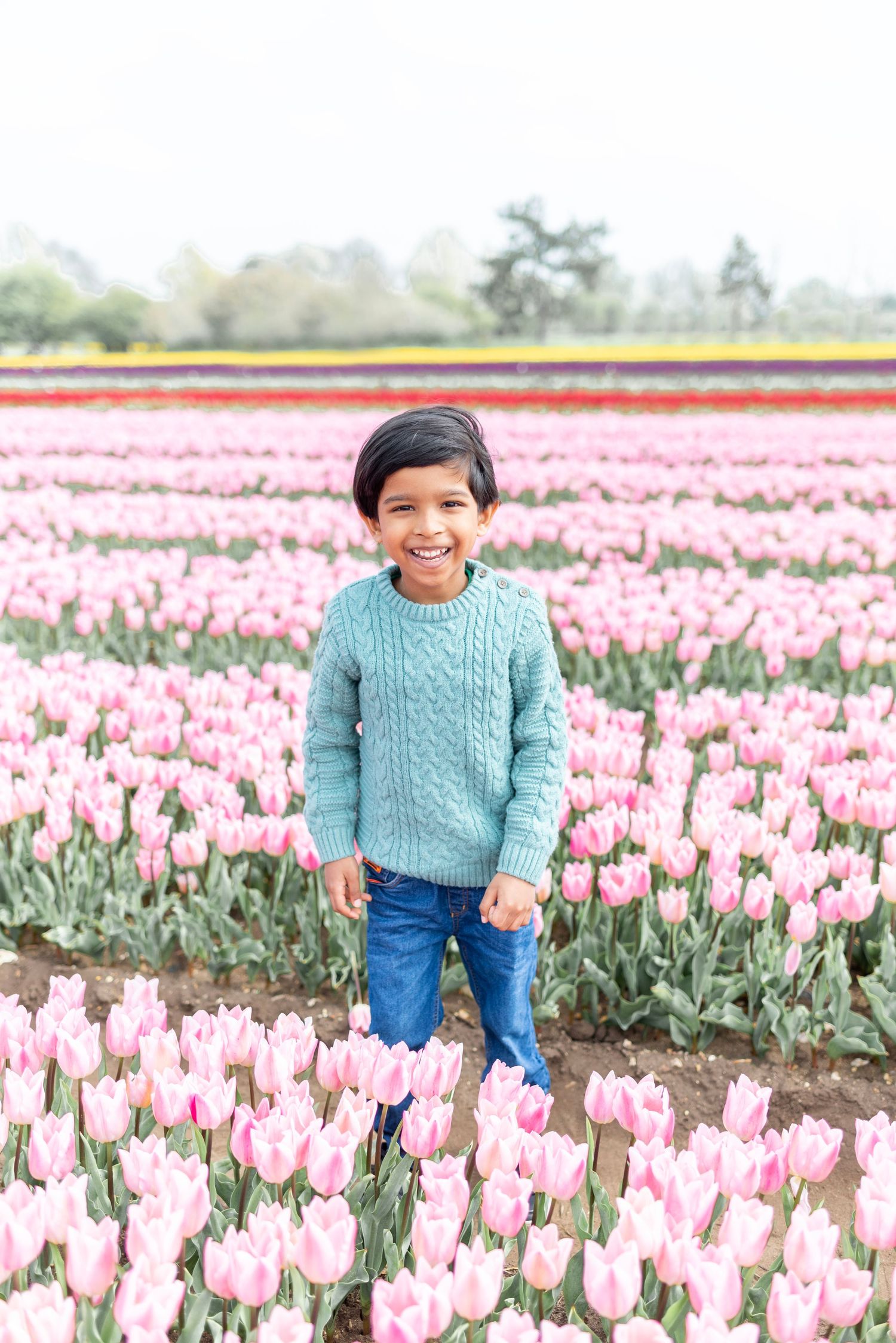 Child wearing blue sweater standing among rows of pink tulips in a spring field.