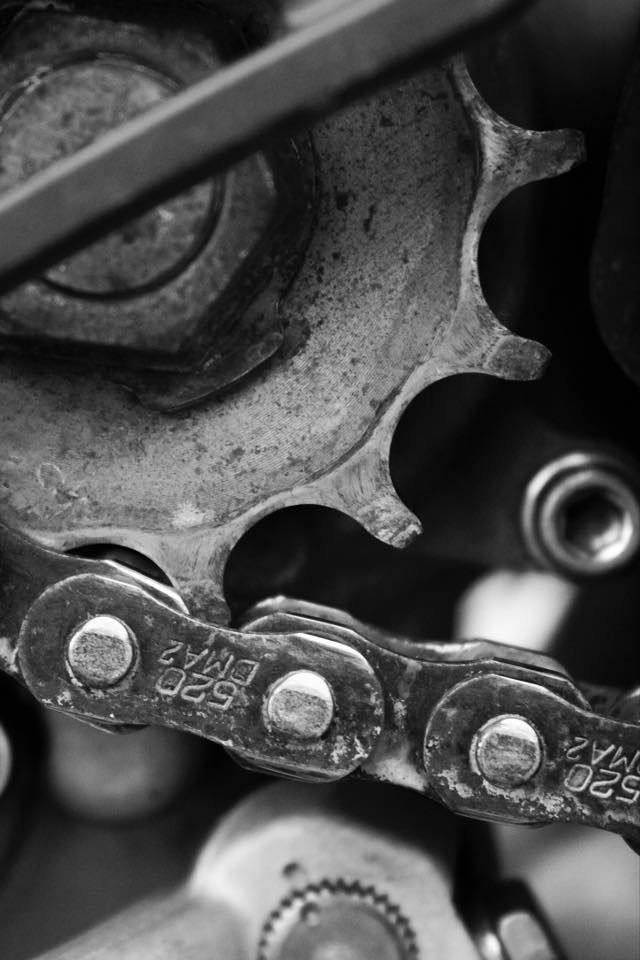 Gear and Chain