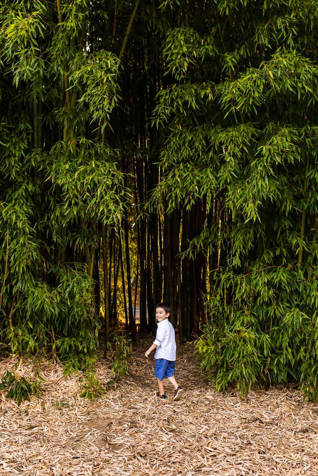 Boy walking into bamboo forest at McAuliffe Park in Kirkland