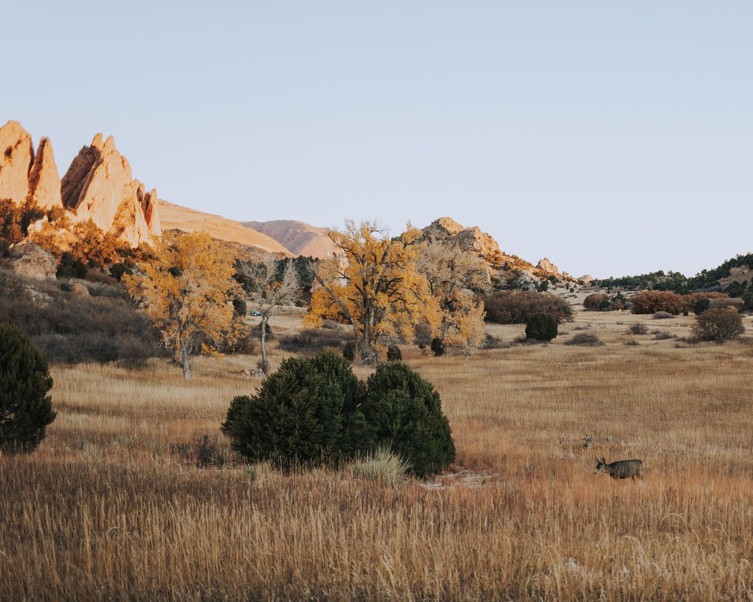 a bright fall sunrise at garden of the gods park colorado