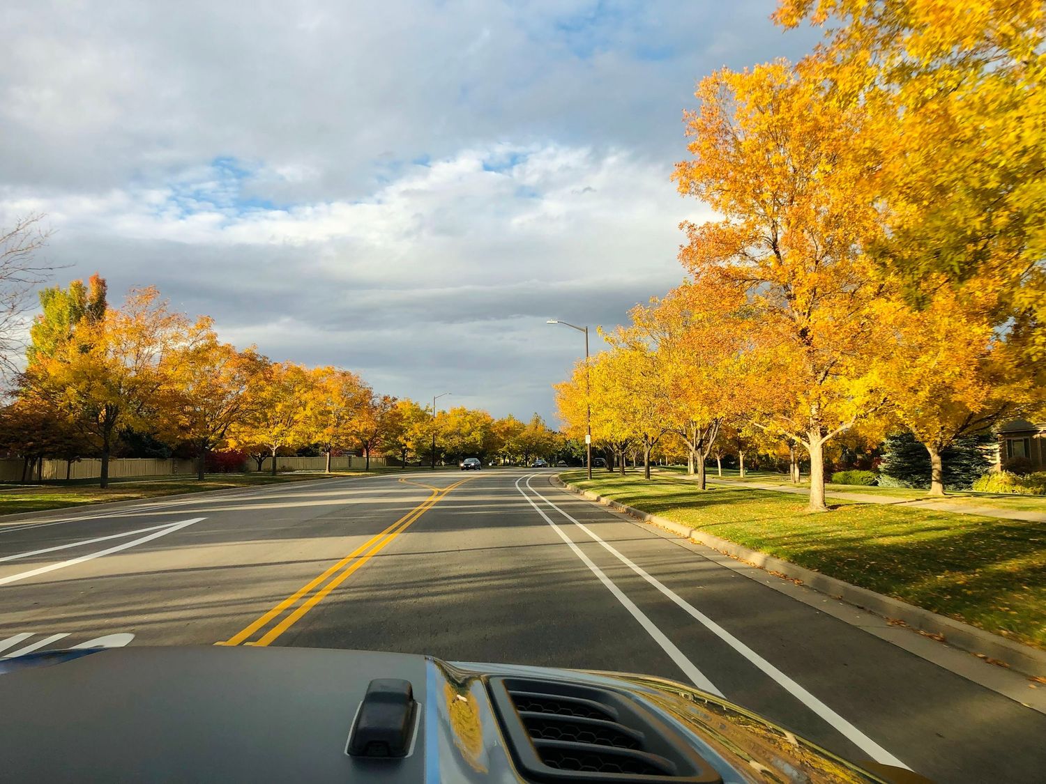 Fall in Colorado