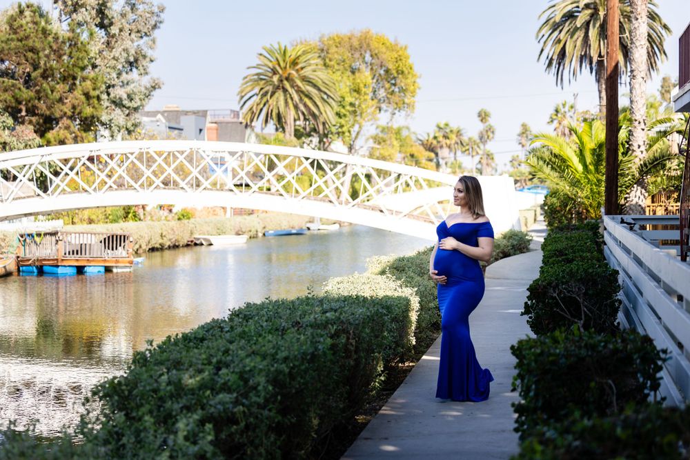 A scenic walkway with palm trees and a bridge over water in a park setting.