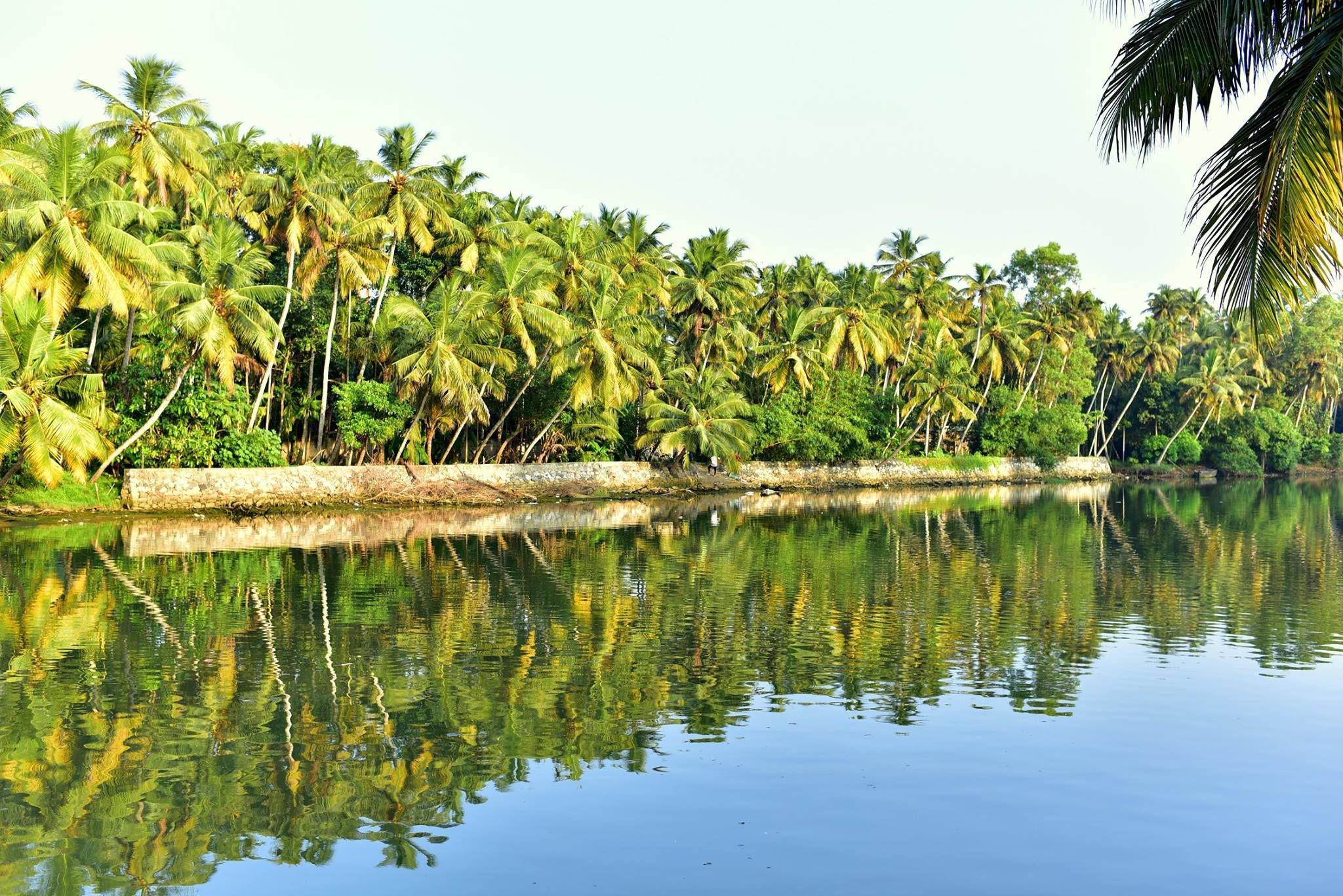 A river in Kerala India