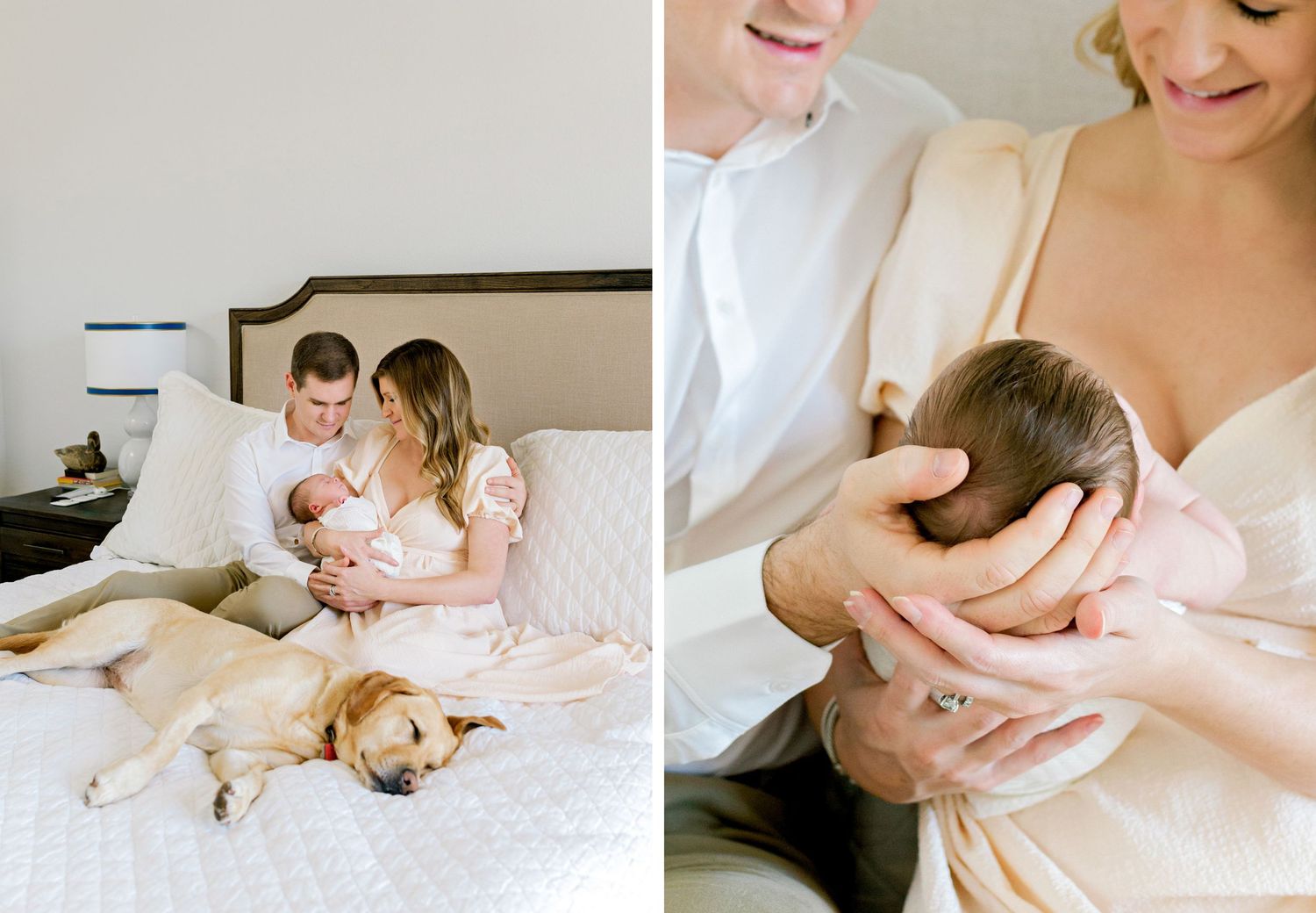 Sweet family moments with sleeping golden retriever and newborn baby on bed.