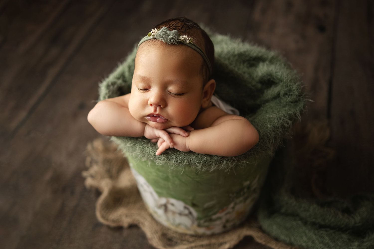 tampa newborn baby