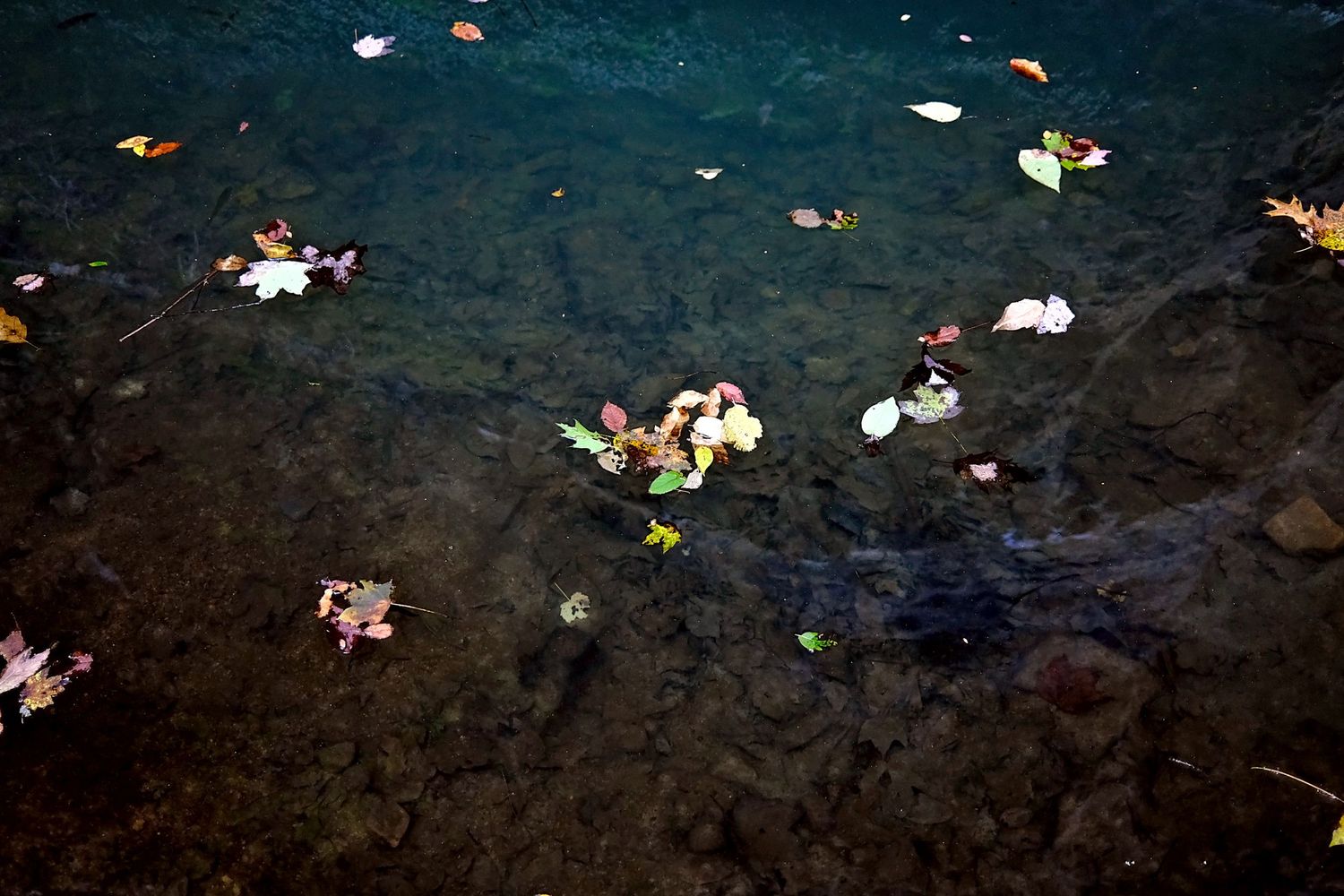 A pool of bluish-green water