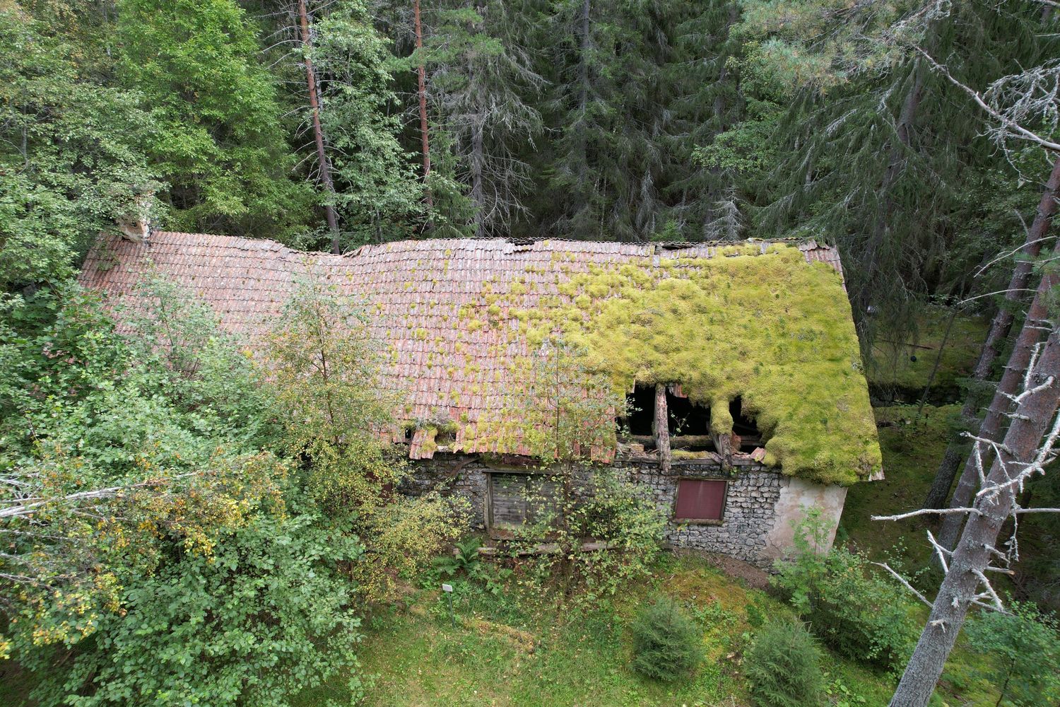 företagsfoto dalarna