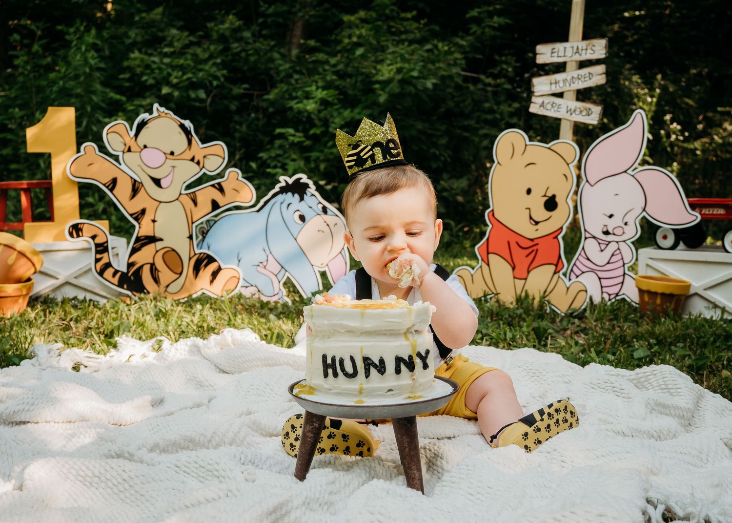 winnie the pooh cake smash photoshoot
