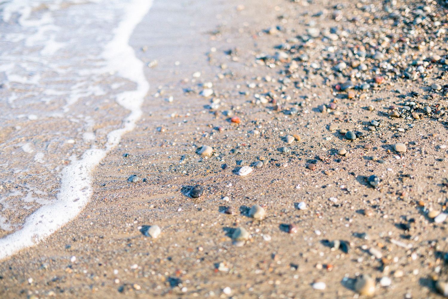 Close up of pebbles and seashells scattered on a sandy beach with gentle waves.