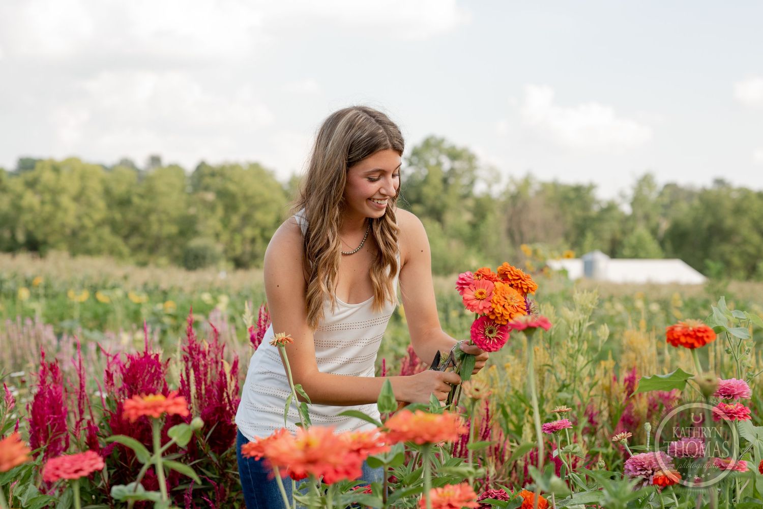 Person picking vibrant orange and pink flowers in a summer garden surrounded by lush greenery.