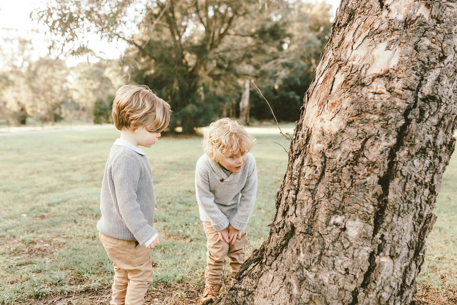 Two small children explore together under a large tree in a grassy field at sunset.