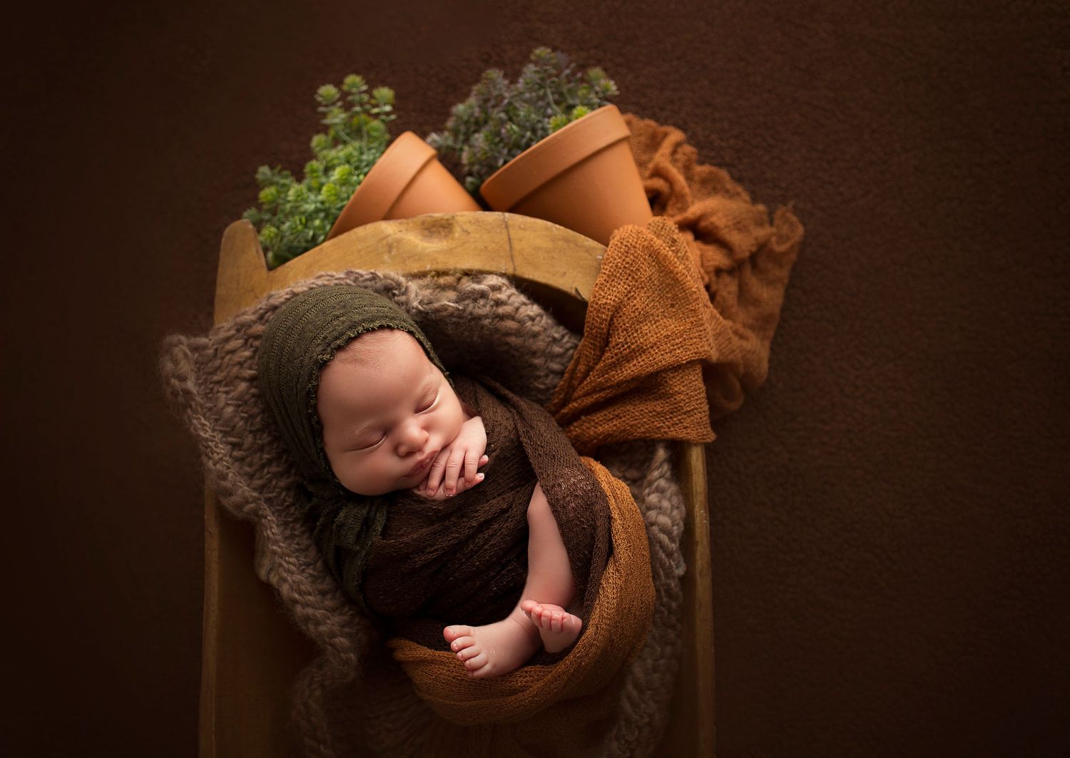 natural light photography in studio baby boy in bowl with plants