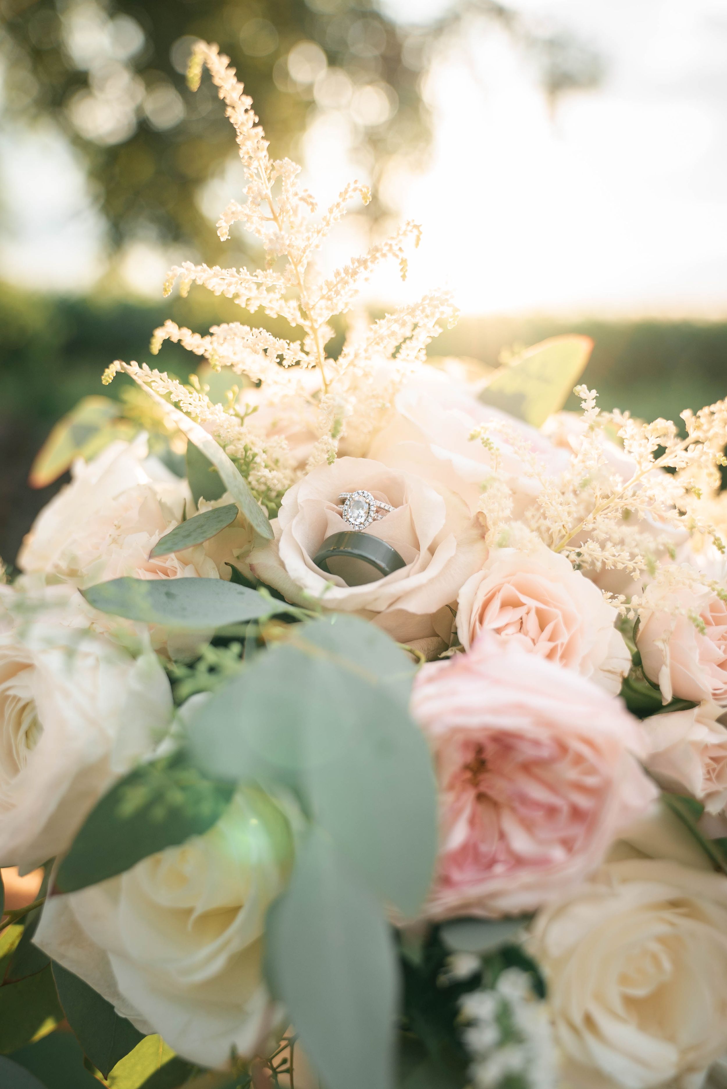 Magic Hour Portraits West Michigan Wedding Photography