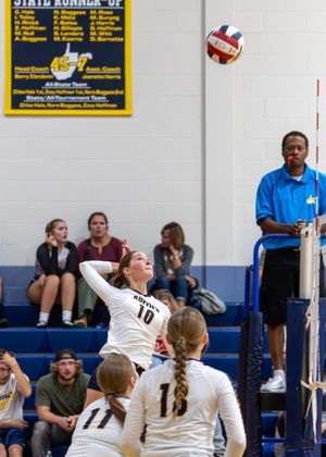 Photo of Jocie Harris preparing to spike the ball during a set.