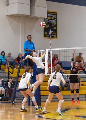 Photo of Buffalo High School Volleyball Player spiking the ball.