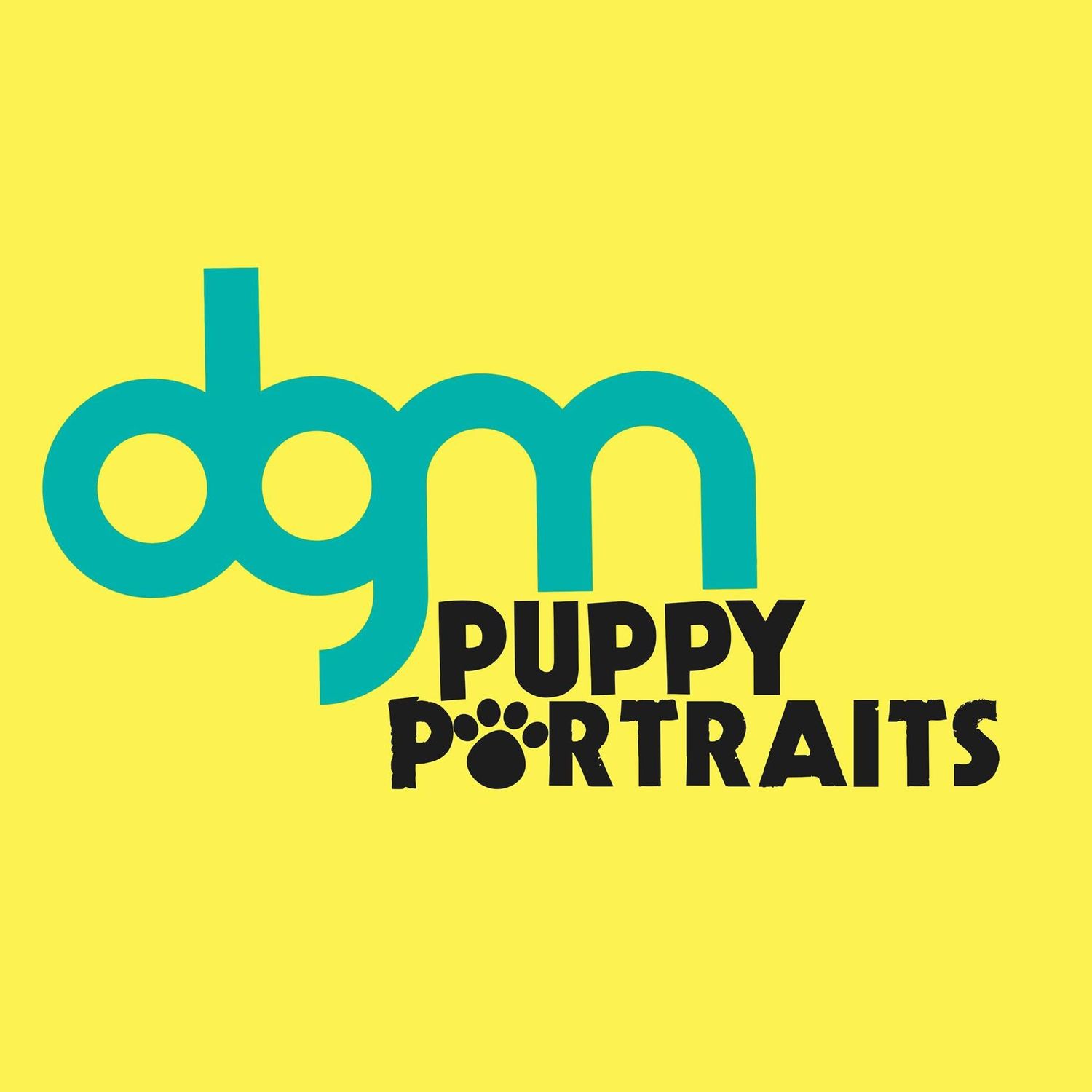 Dog Photography in Waterford, Ireland