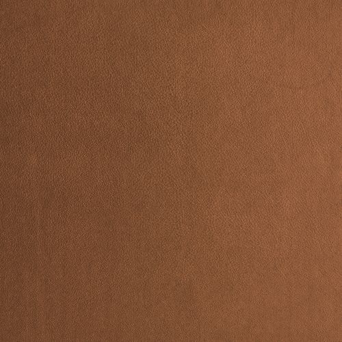 Album Design Swatches