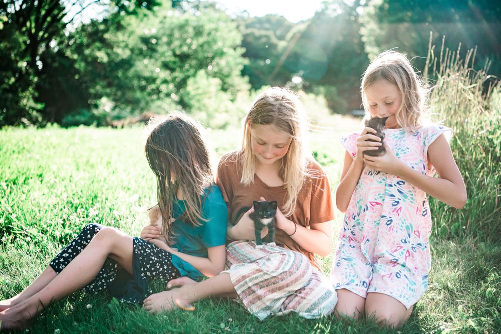 Children sitting in sunny field looking at something together.