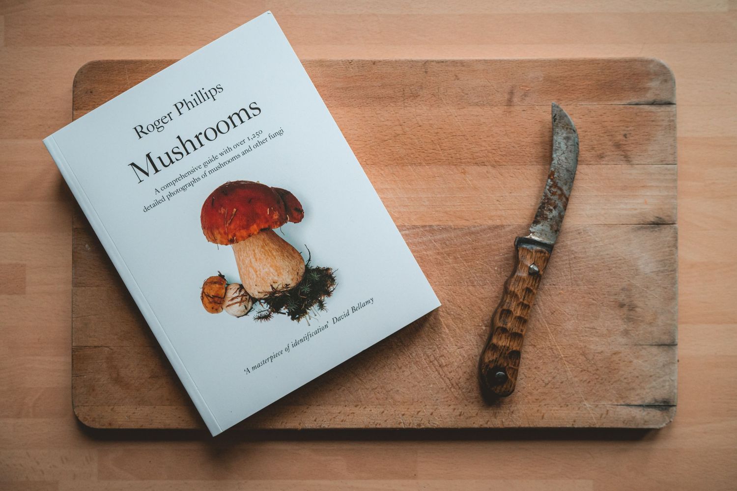 Safely Identifying Mushrooms - The Grizzly Forager: The Definitive ...