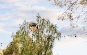 String lights hung between willow trees against a bright blue sky.