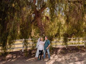 A romantic moment captured under a willow tree with sunlight filtering through the branches.