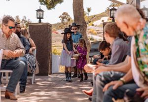 Guests mingling at outdoor party under tree with hanging lantern decorations.