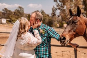 A countryside wedding photoshoot with horses and natural scenery.