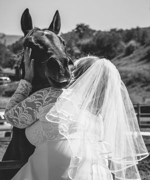 Black and white detail shot of a bride's lace dress and flowing veil.