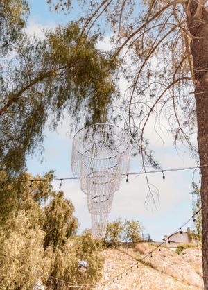 String lights hang between trees creating an enchanting outdoor atmosphere.