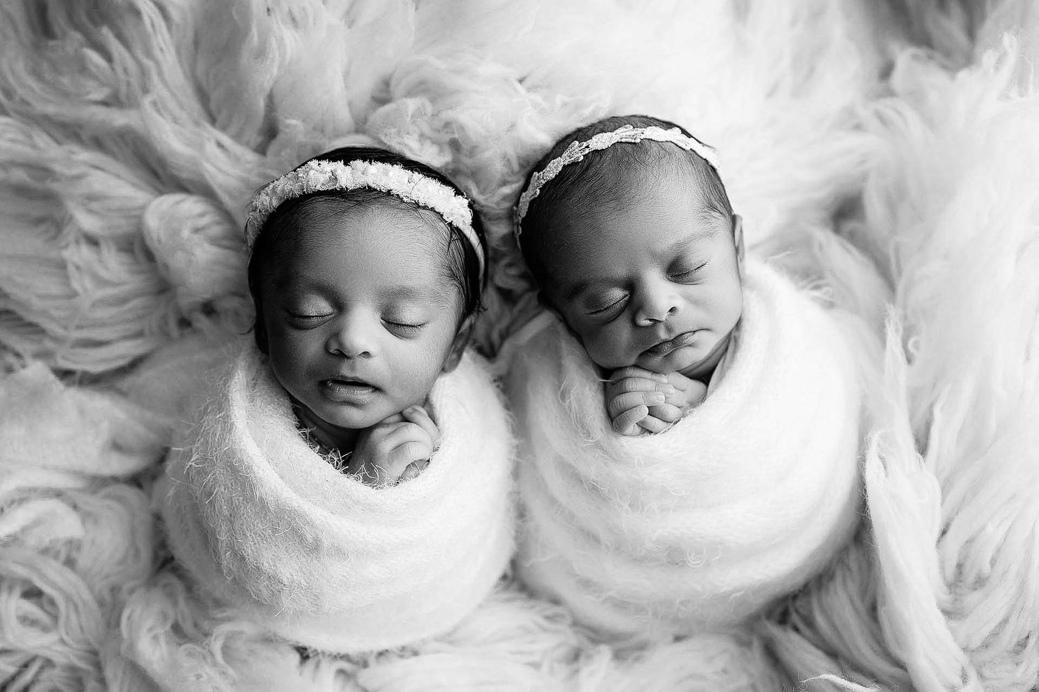 tampa baby photographer