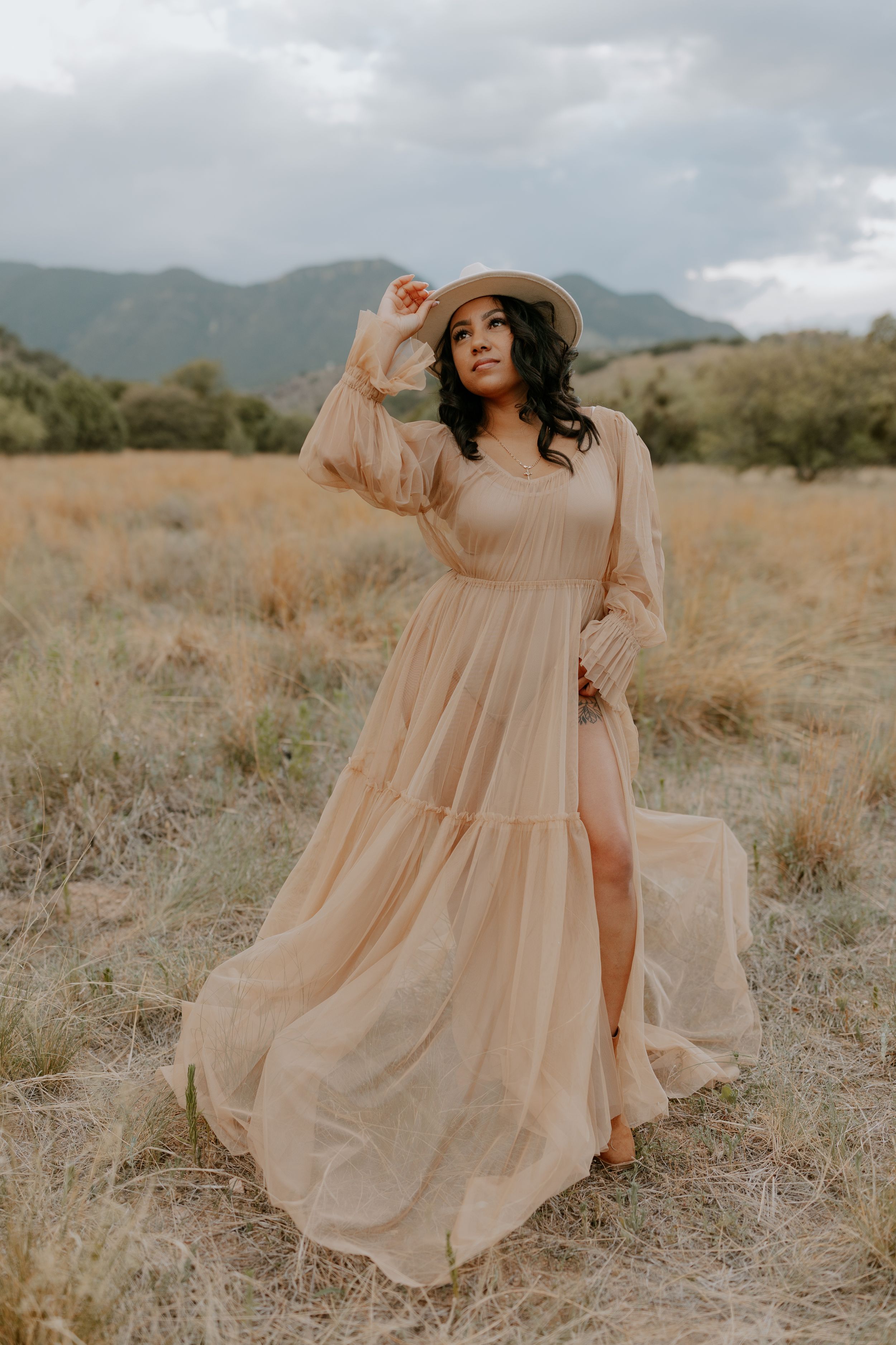 A peachy dress billows in the wind against a backdrop of desert mountains and brush.