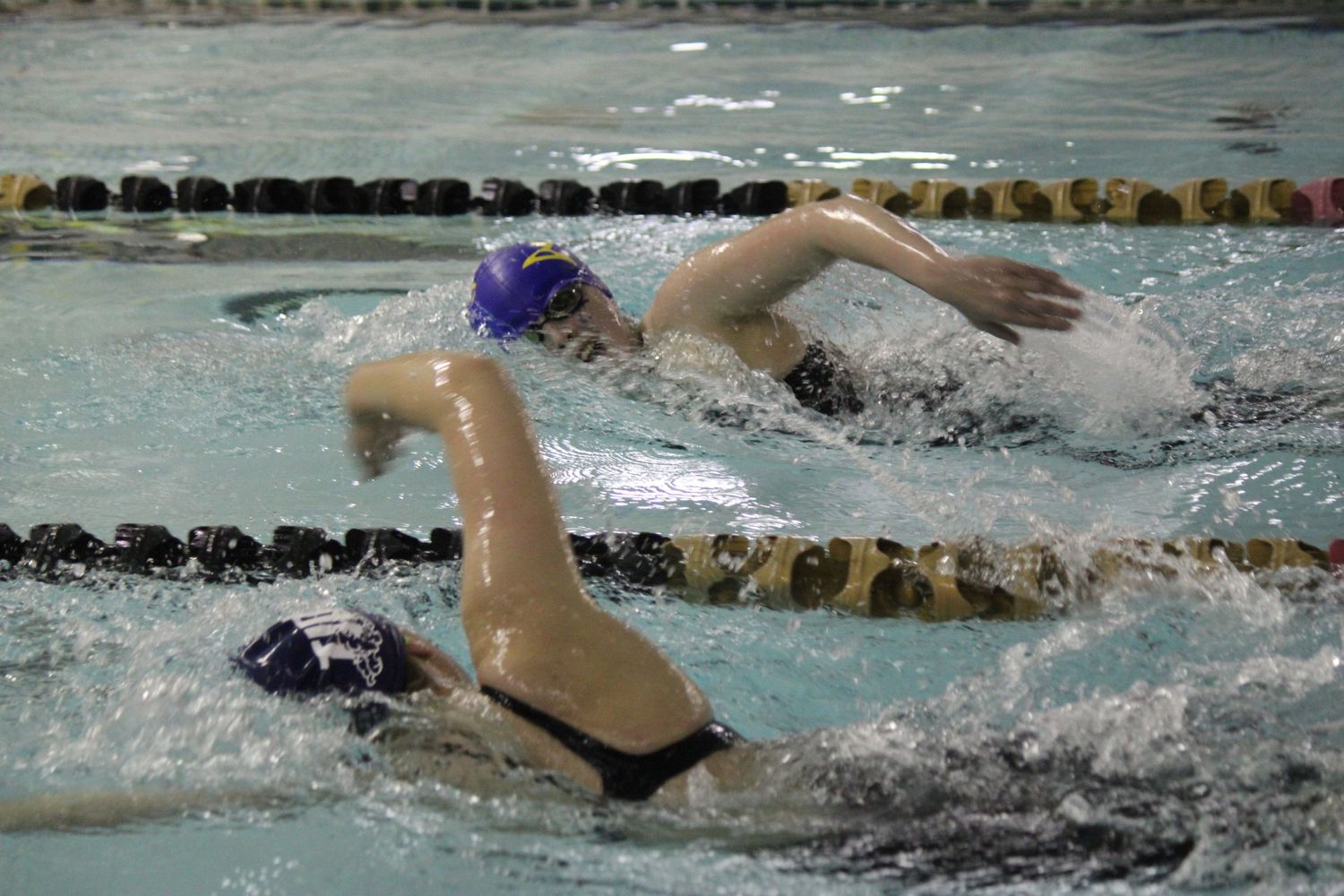 David Fry Invitational Swim Meet