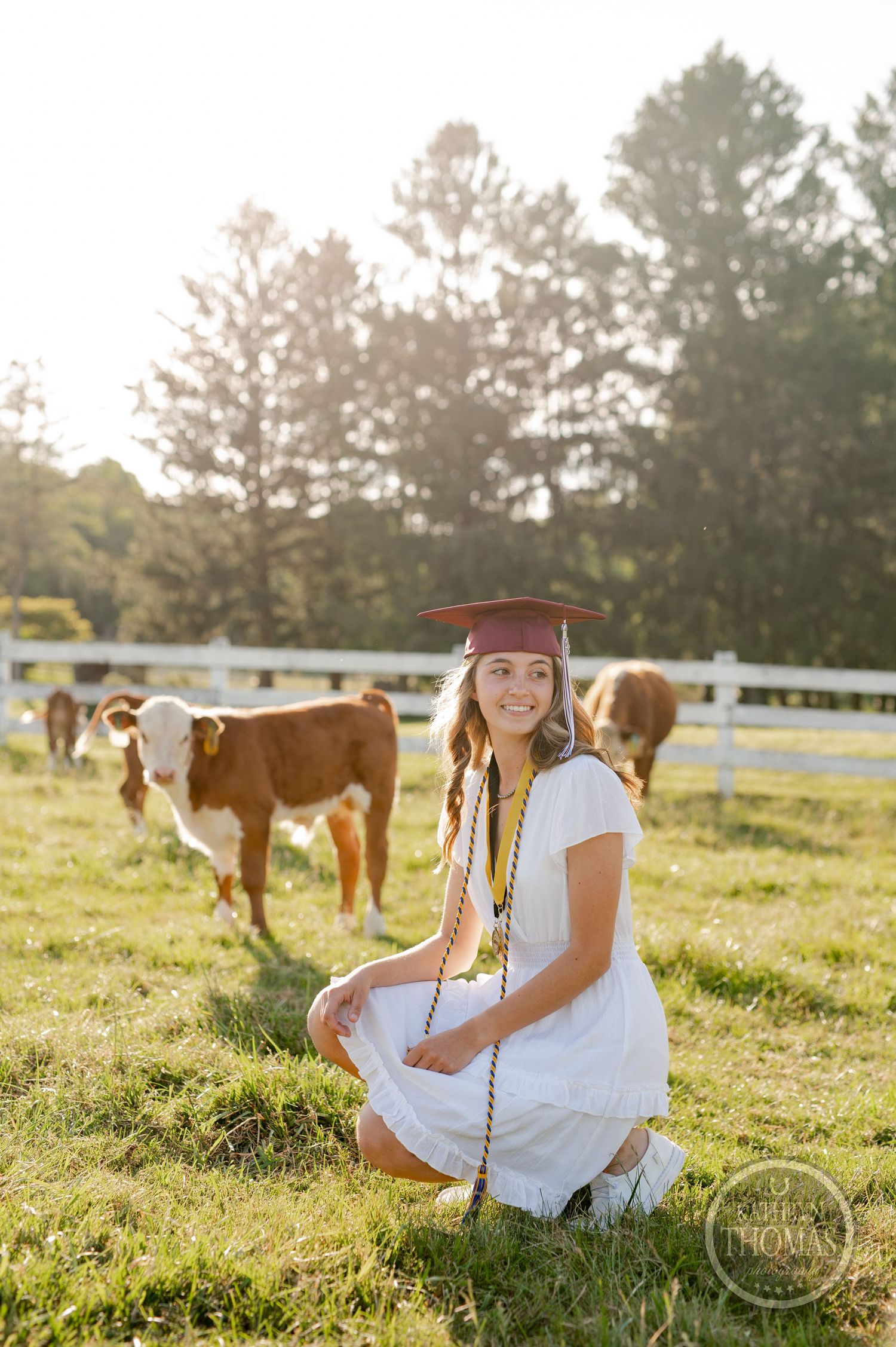 Graduating student in white dress kneeling in sunny pasture with brown and white cows grazing in background.