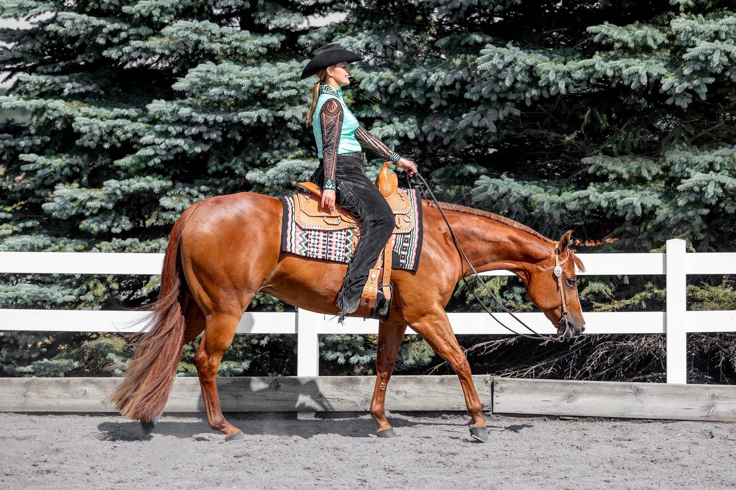 Ludington, Michigan with Dalton Performance Horses