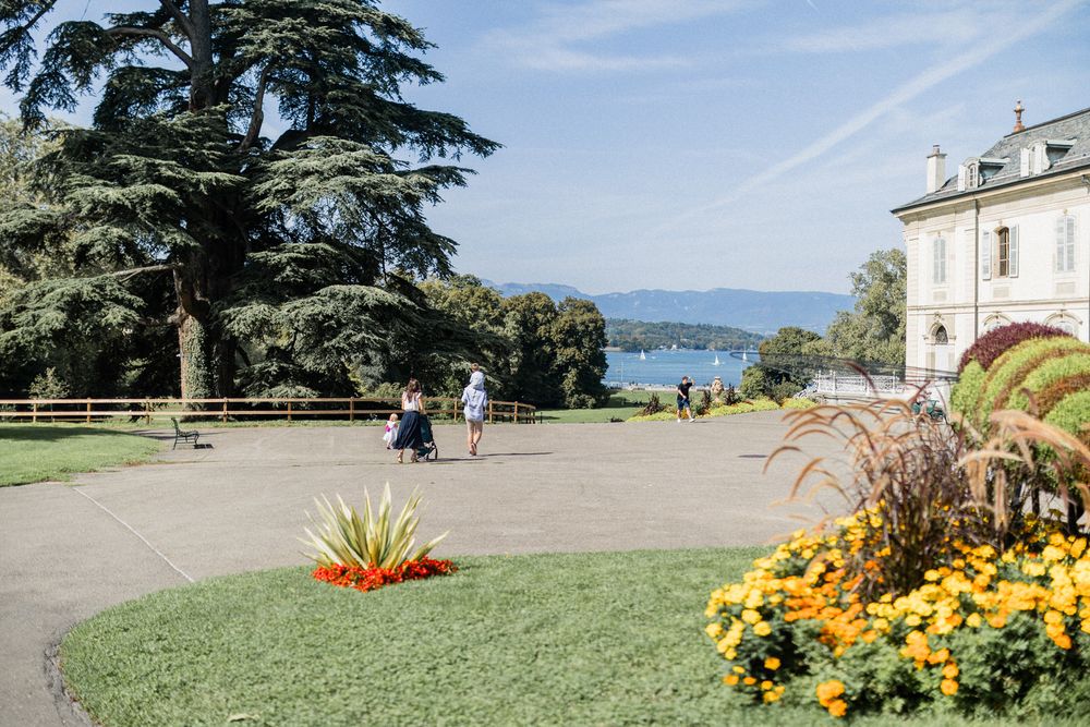 Garden landscape with yellow flowers and scenic water view from elegant estate grounds.