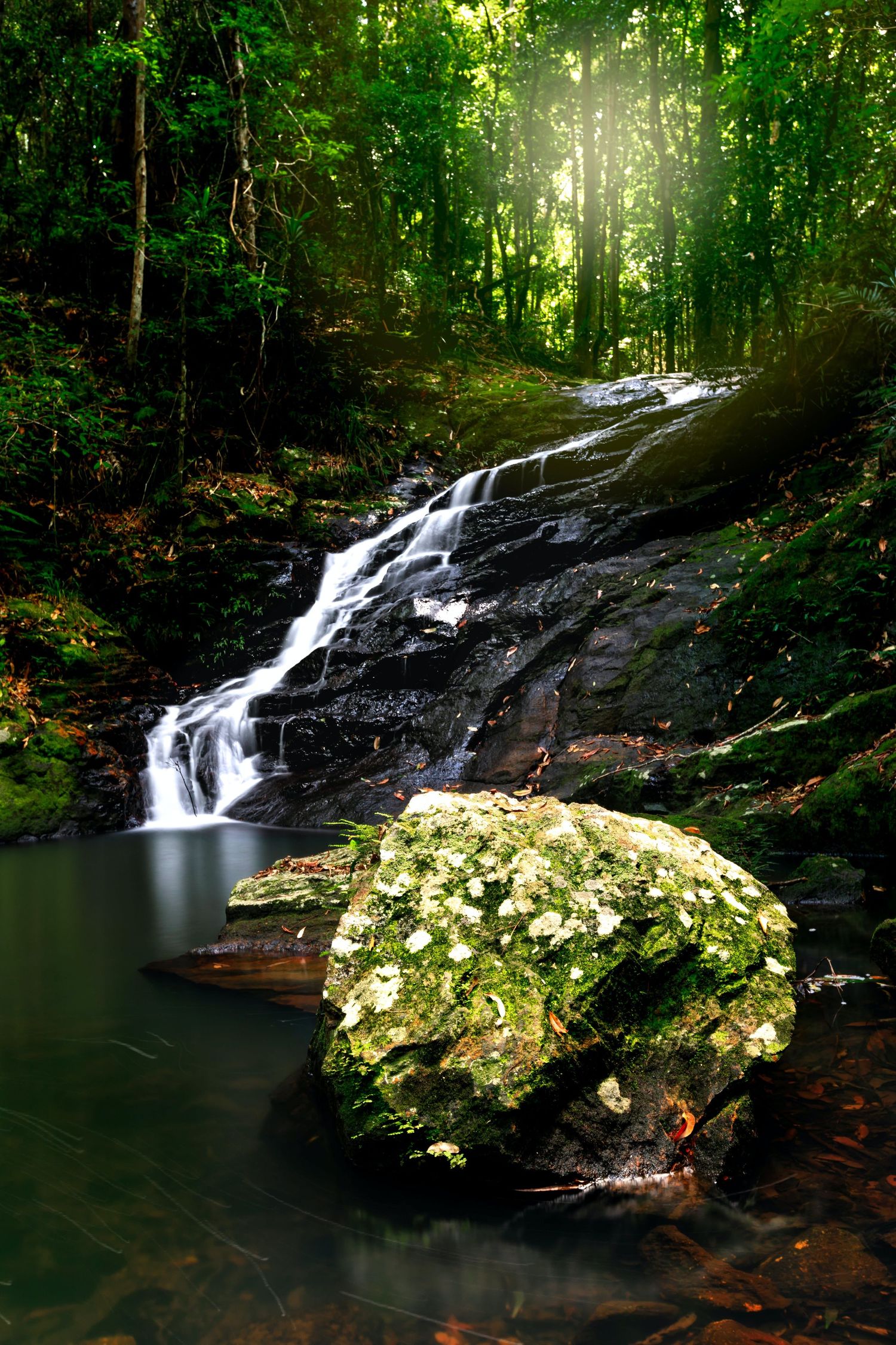 Serene waterfall cascading through lush forest with flowering plants in foreground.