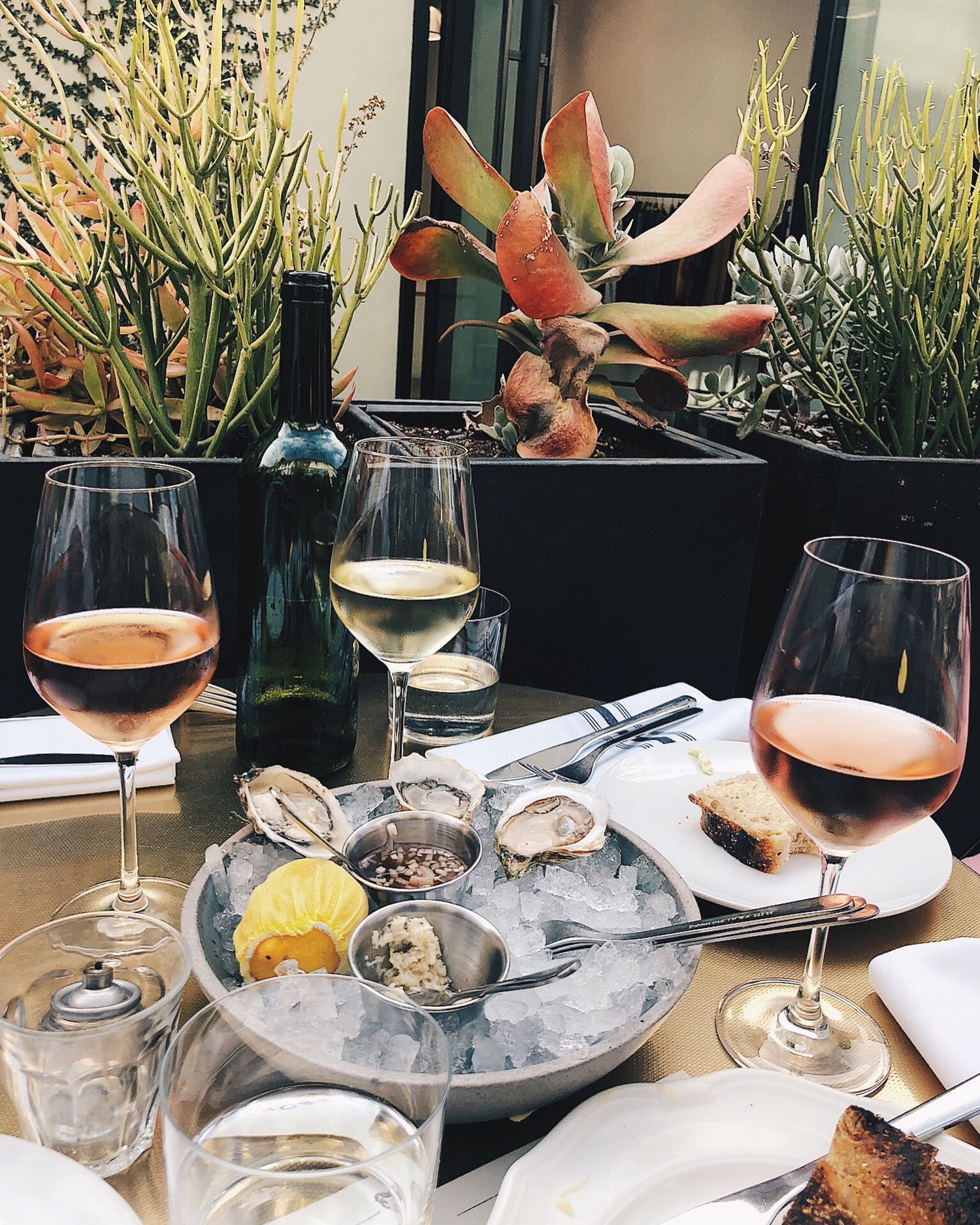 Hayden Wine Bar