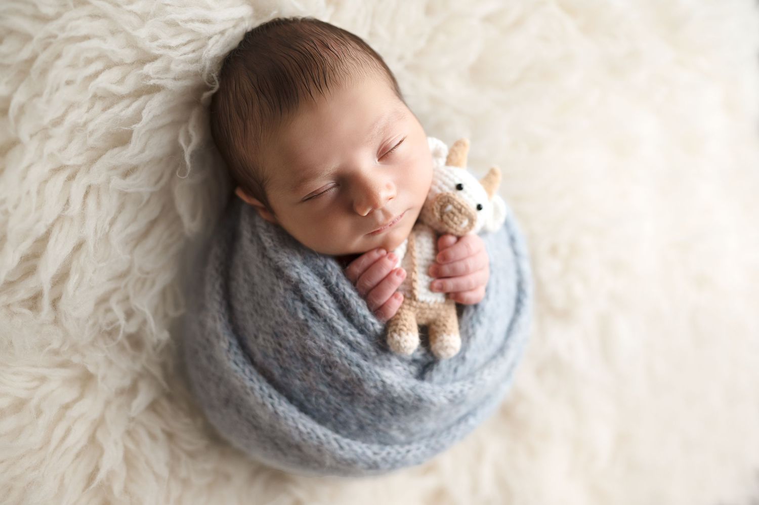 mountain house newborn photographer