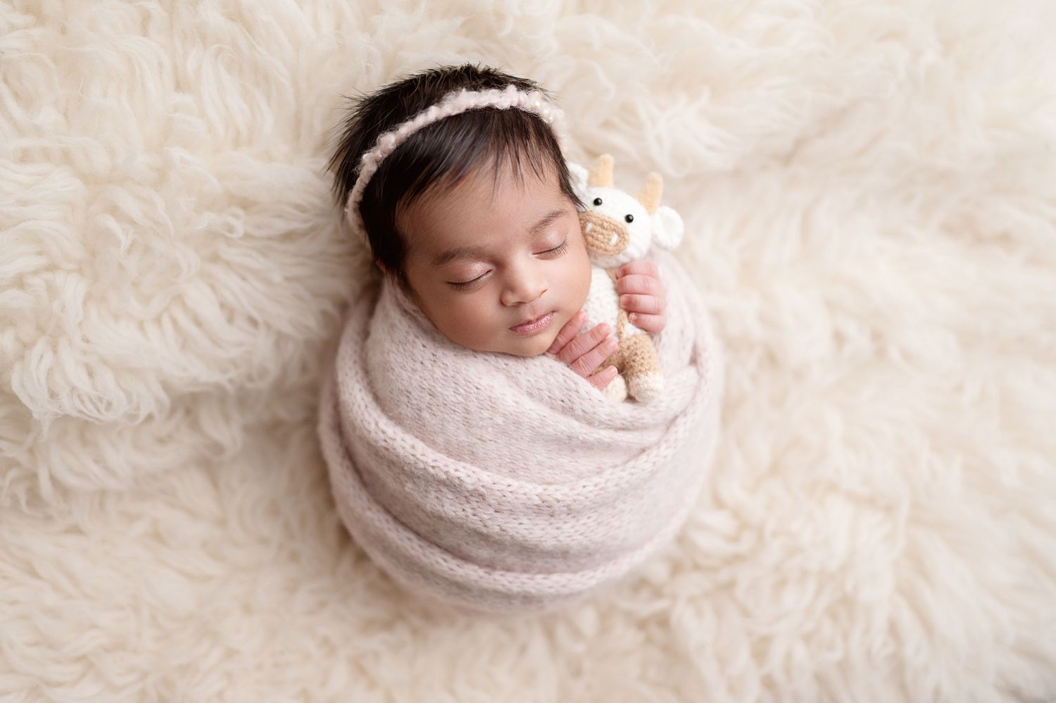 Dublin, Ca newborn photographer