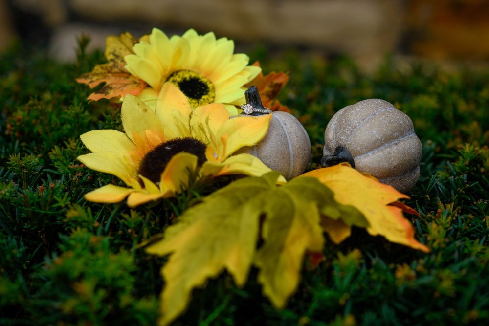 Yellow sunflowers and decorative pumpkins nestled in green foliage.