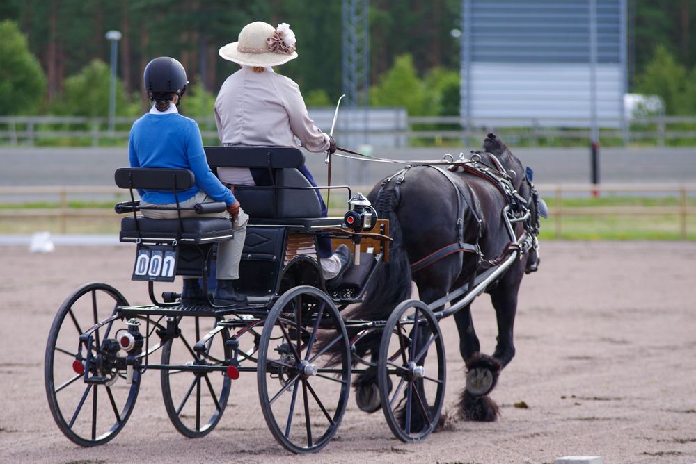 A classic carriage with two passengers being pulled by a dark horse in a dirt arena.